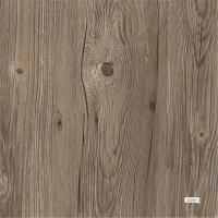 SPC Flooring LS-169-1